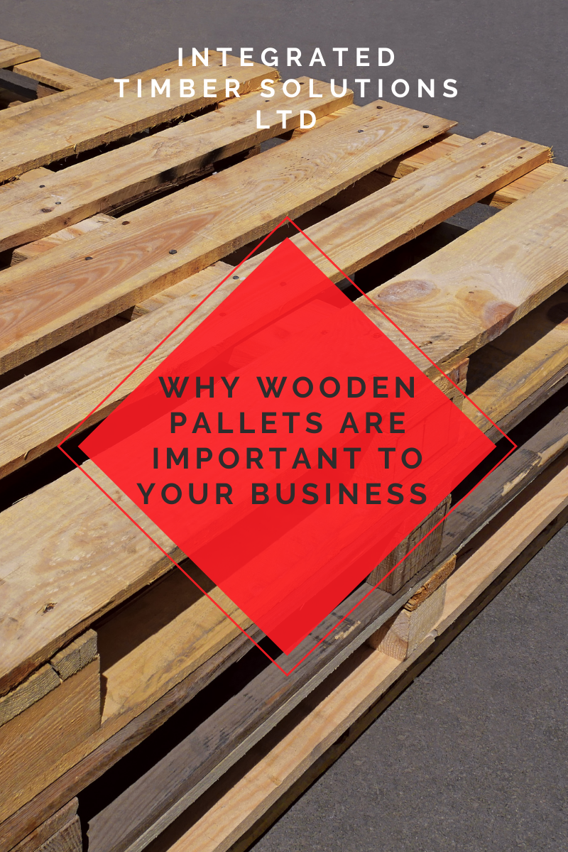 wood pallet business plan