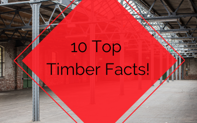 10 Top Timber Facts