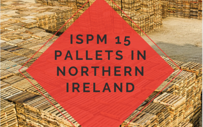ISPM 15 Pallets in Northern Ireland