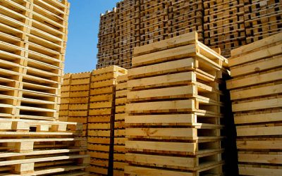 Timber Pallets and Crates: Sustainable Solutions by ITS Timber