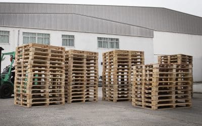 The Importance of Heat Treatment and Kiln Drying Services for Timber Pallets