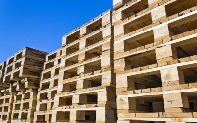 Top Qualities of Timber Pallets: Strength, Durability, and Sustainability