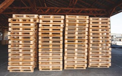 How Timber Pallets Support a Circular Economy: Sustainable Solutions for Businesses Worldwide