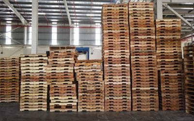 Timber Pallets in Winter: Seasonal Insights and Best Practices