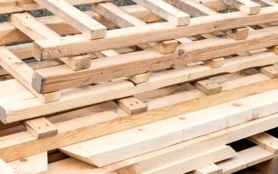 Timber Pallets in 2025: Trends, Innovations, and the Road Ahead for Sustainability in Northern Ireland and the UK