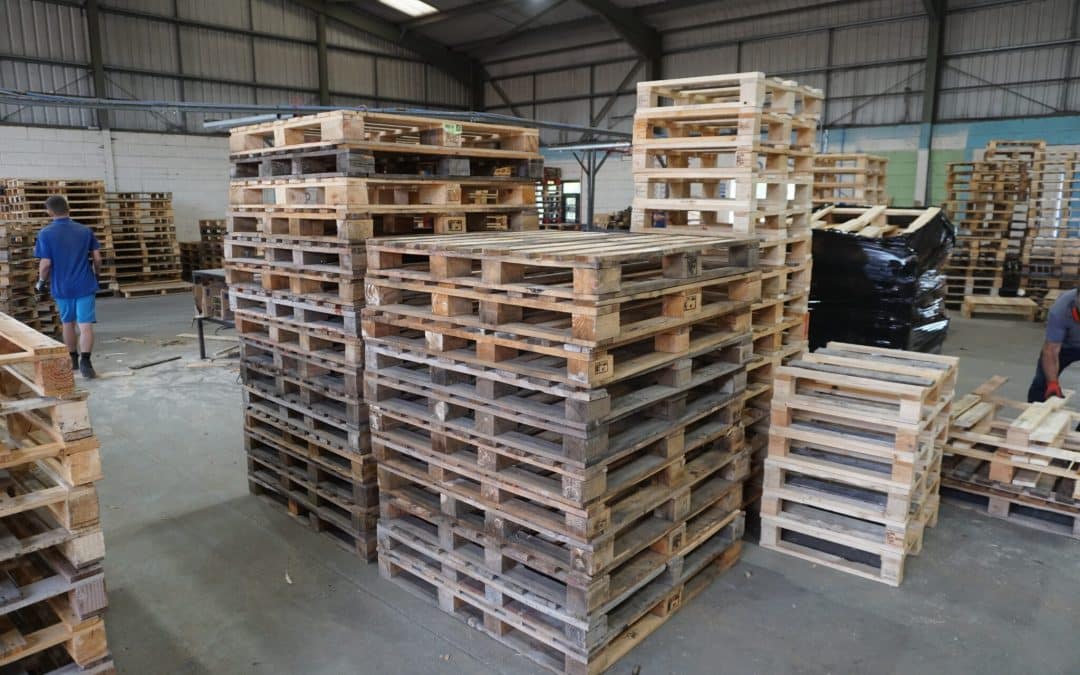 sustainability in timber pallets