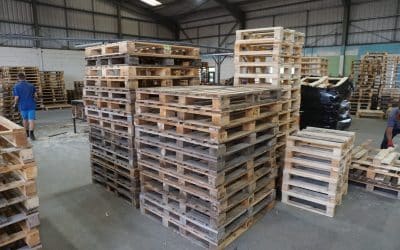 Recycling Old Timber Pallets and Cases: A Sustainable Solution for a Greener Future.