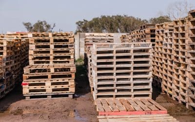 What is ISPM 15 Certified Packaging and How do we use it at ITS? 