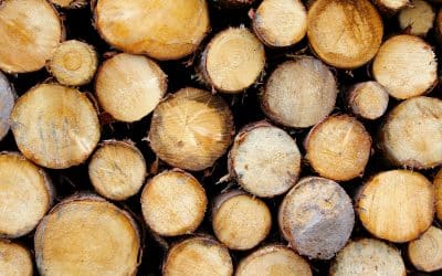 The Environmental Benefits of Wooden Pallets