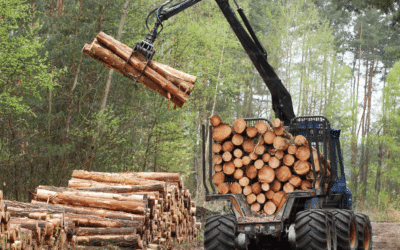 Timber vs Plastic Packaging